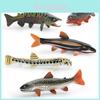 Realistic Plastic Fish Model Set Featuring Colorful Red Spot Salmon Piranha And Yarrow Fish