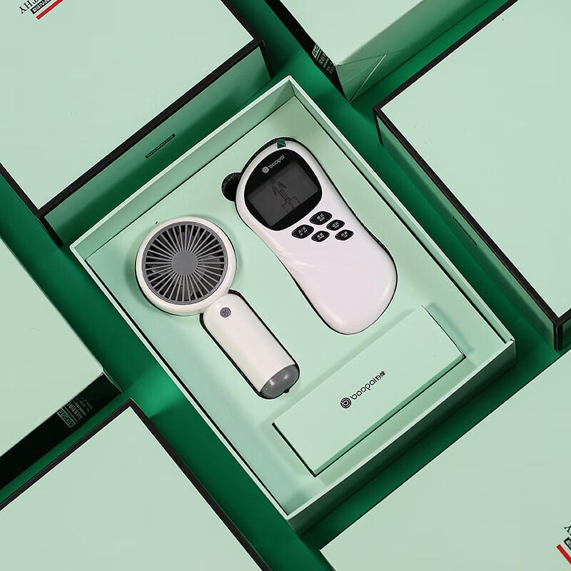 

BAOPAI BP-T50 Handheld Fan and Electronic Massager Set