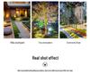 Solar LED Garden Landscape Spotlight - Waterproof Outdoor Lawn Light