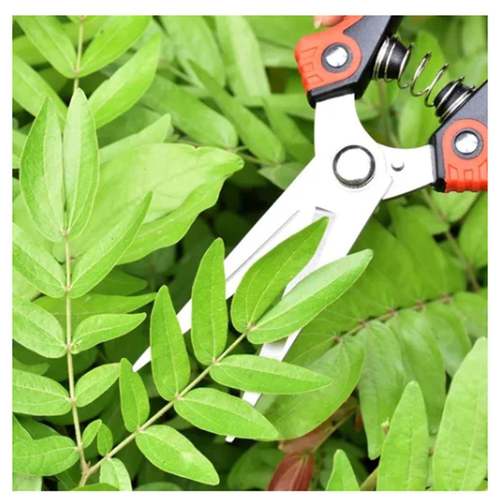2Pcs Garden Pruning Shears Labor Saving Fruit Tree Thick Branch Pruning Shears Gardening Scissors Tools