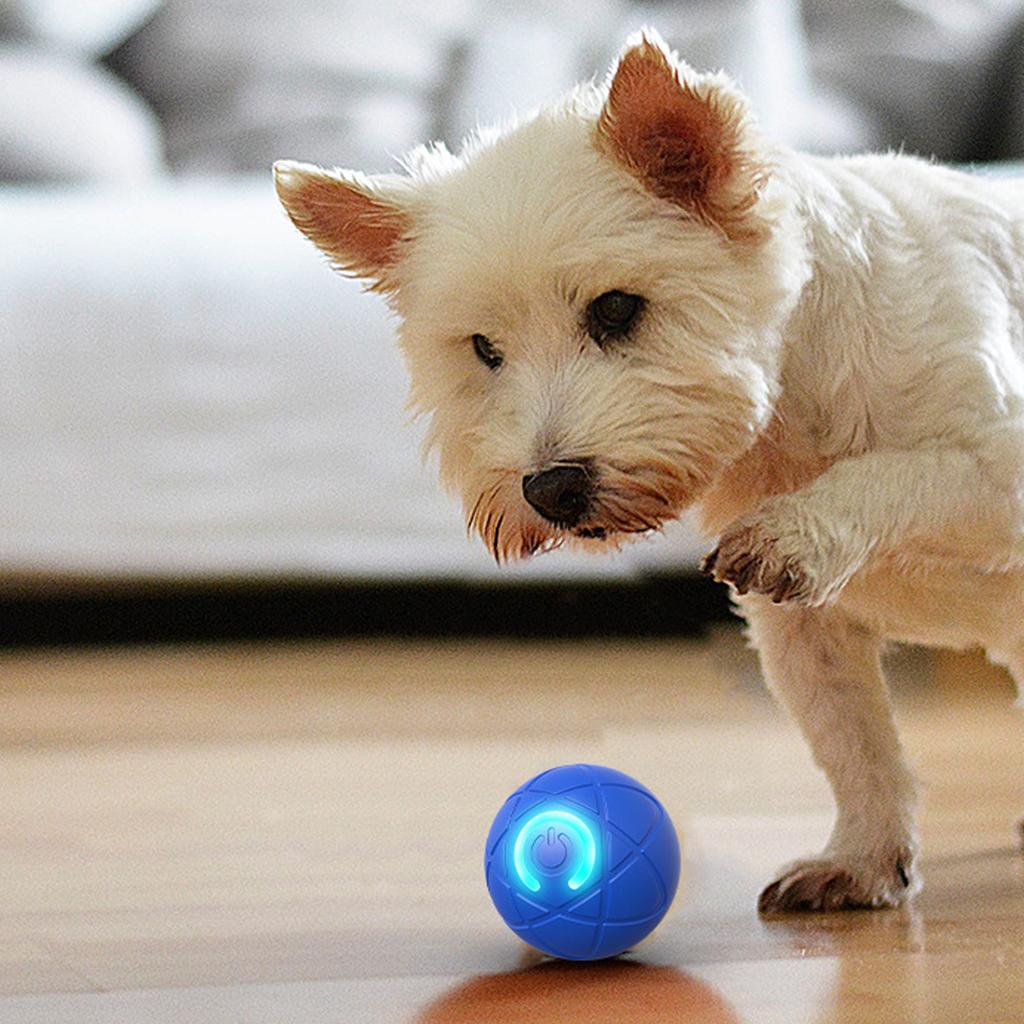 Dog Teasing Ball for Outdoor Active Play and Exercise Ball Rechargeable Toy Waterproof for Shepherds Corgis Collies
