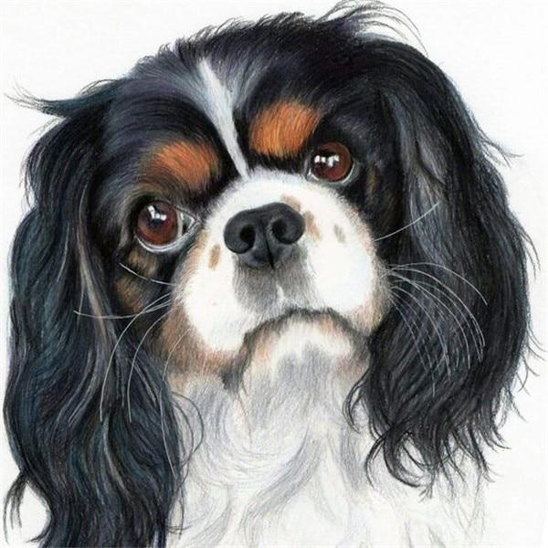 Diamond Embroidery Sale 5D DIY Diamond Painting Dog Animal Rhinestone Picture