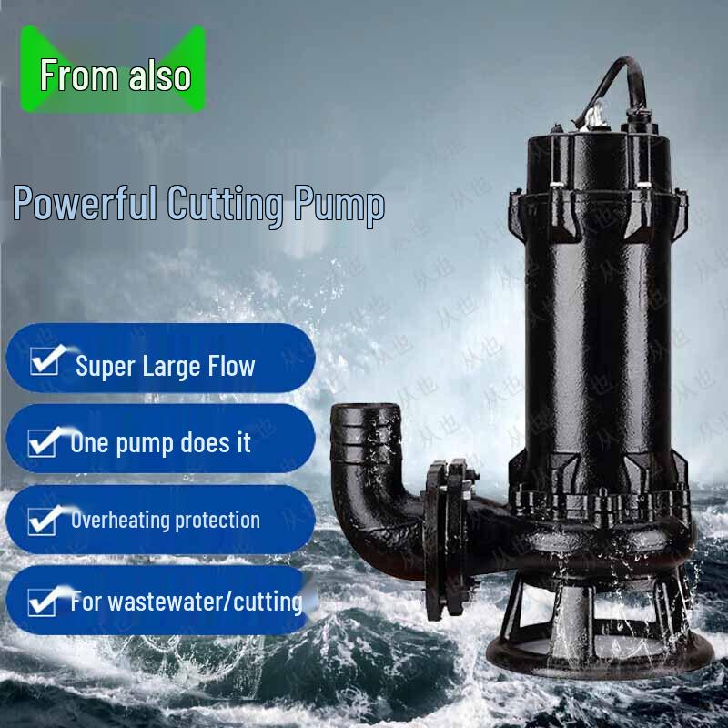 High-Flow Flood Control Sewage Pump