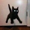 Titanium Steel Scared Cat Necklace For Women Men Korea Fashion Kpop Black Cat Pendant Sweater Chain Couple  Party Gift