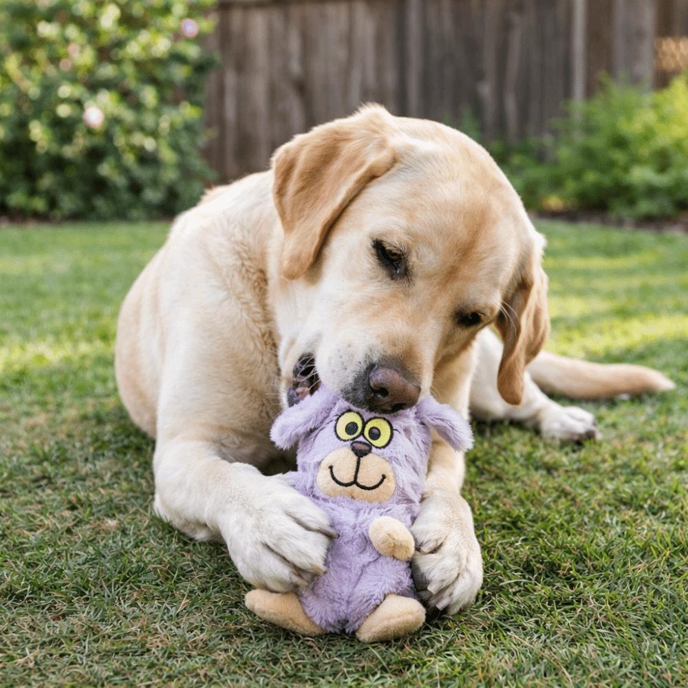 Wear Resistant Squeaky Plush Dog Doll Cartoon Interactive Dog Toy Dog Molar Toy  Puppy Training