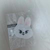 STRAY KIDS Ski Zoo Crane Game Gigo Ribbit Coin Purse