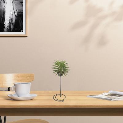 Blumenständer, Spiral-Design, Eisen, Kunst-Luft-Ananas-Rack, grüne Pflanzen-Display-Halter, Dekoration, Heimdekoration