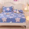 Fitted Sheet Home Bed Cover Summer Spring Winter Mattress Covers With Elastic (Without Pillowcase)