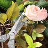Stainless Steel Pruning Shears for Orchard and Garden