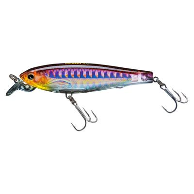 DUEL Minnow 3DS 17g 100mm Hohl Makrele HHWS