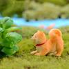 Micro décoration de paysage Akita en forme de chien, petite décoration succulente créative en résine bonsaï