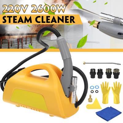 2600 W Hochtemperatur-Dampfreiniger für Motorhauben-Klimaanlage, Auto-Reinigungsmaschine, Pump-Sterilisations-Desinfektionsgerät