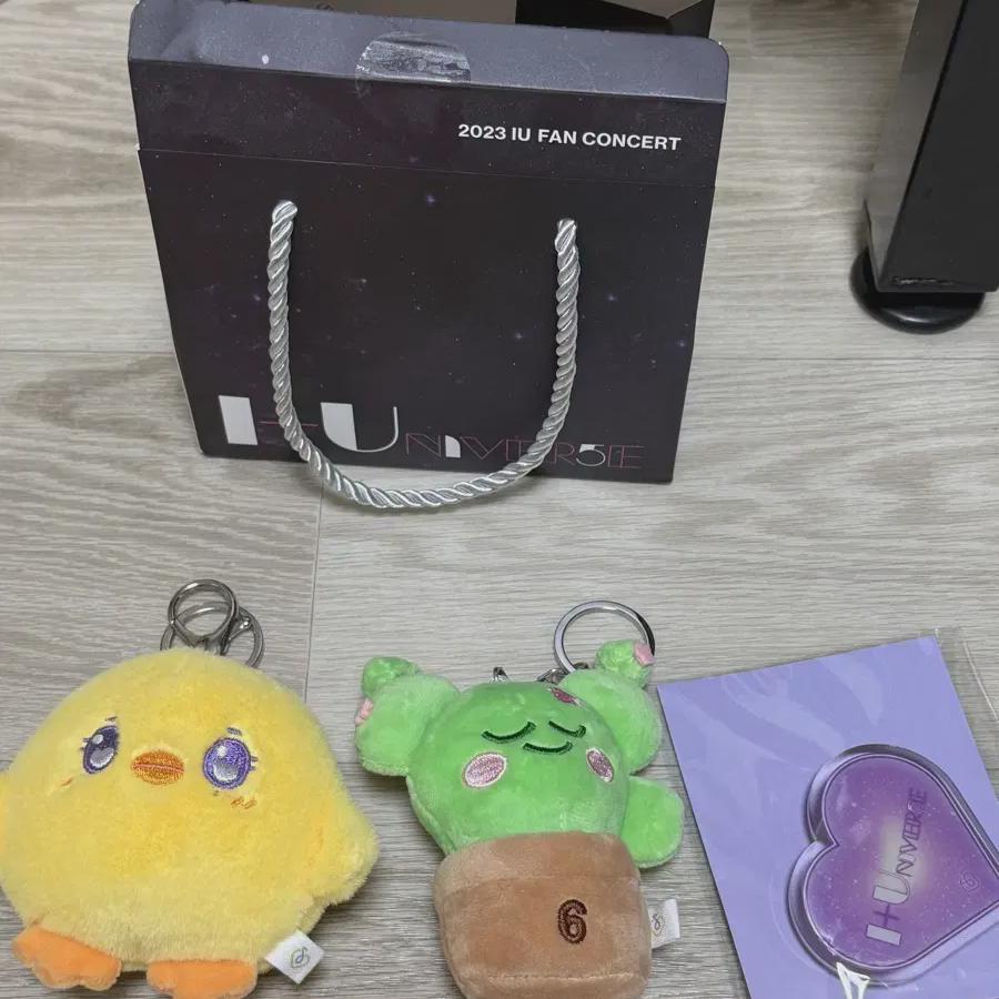 

IU Фанконцерт Ёкчогён