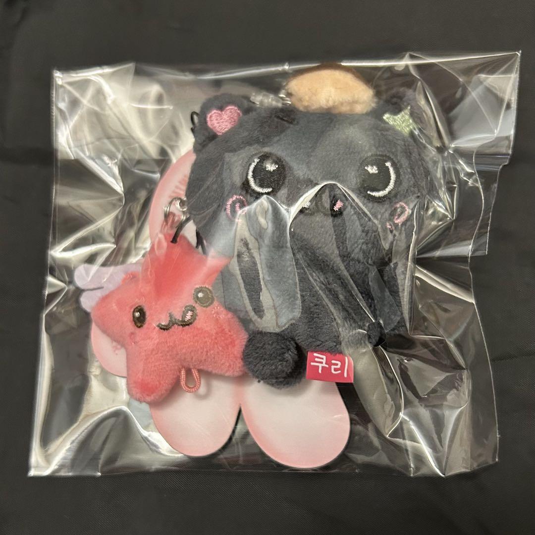 

[USED] NCTWISH Seoul Concert Korea Goods Penlight Mini Doll Keyring Riku