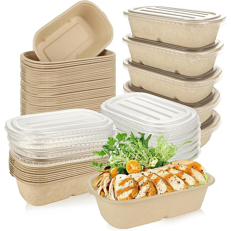 10/50 Stück Ovale Bagasse-Boxen aus Zuckerrohr Umweltfreundliche biologisch abbaubare Lebensmittelbehälter mit PET-Deckel