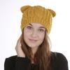 New Autumn and Winter Knitted Warm Women's Hat Jacquard 8 Shaped Twisted Cat Ear Cute Woolen Hat