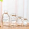 Large Retro Transparent Glass Vase for Pothos and Dried Flowers - Tabletop Home Decoration