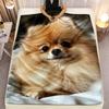 Entzückender Zwergspitz Hund Druck Fleece Decke Gemütliche Flanell Überwurf Haustier Liebhaber Geschenk Weiche Warme Bettwäsche Heimdekoration Hundemuster Abdeckung