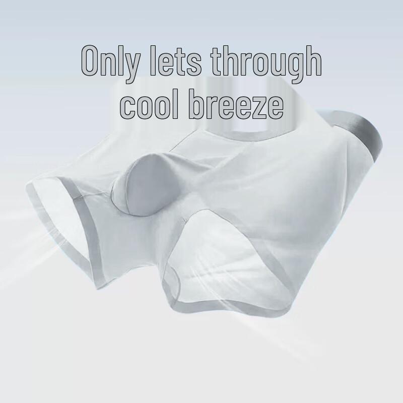 Langsha Men's Ice Silk Boxer Briefs 4-Pack