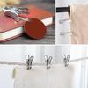 Greenhouse Clips Stainless Steel Garden Clips Greenhouse Clamps For Netting Hold Down The Plant Cover Or Shade Cloth On Garde