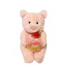 Plush Toys, Cute And Perfect Birthday Gifts For Friends And Classmates, Graduation Gifts