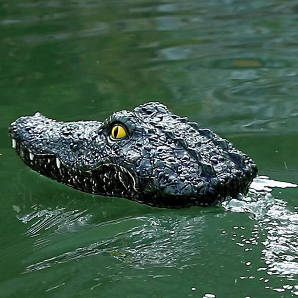 Remotes Control Crocodile Head Boat,RC Boat, Water Toys Electric Race High Simulation for