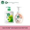 Antibacterial Foam Hand Soap Combo