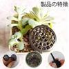 Set of 20 Fertilizer Fertilizer Gardening Cultivation Planting for Bonsai Containers, Boxes, Tools, Baskets, Safe, Non-Toxic, Reusable, Tools, Tools,