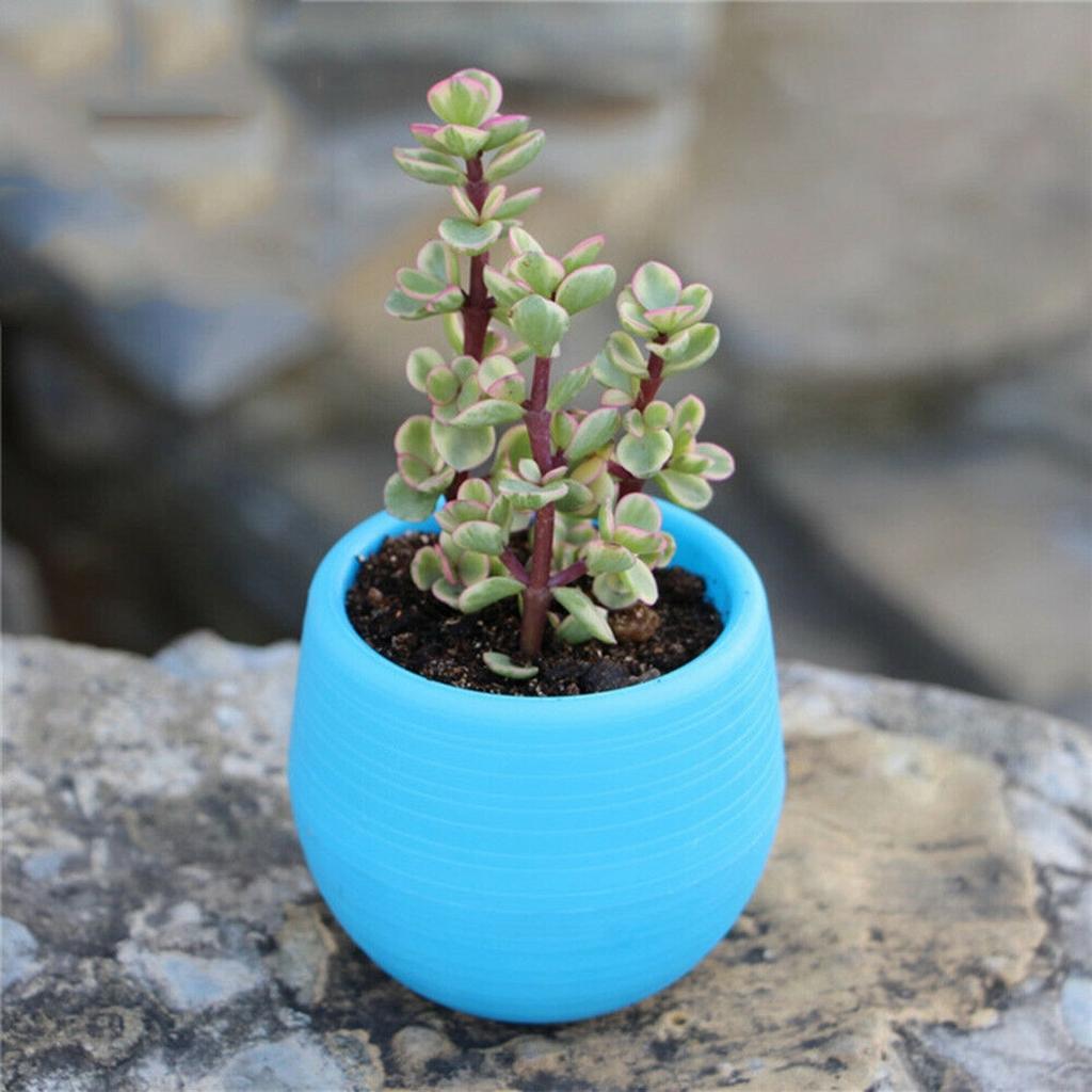 Accessories Baskets Colorful Home Decoration Mixed Colors