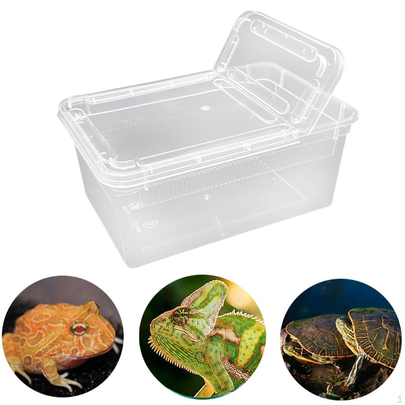 

Reptile Feeding Box Breeding Case Portable with Lid Transparent Small for Frog Scorpions Hermit Style C