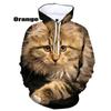 Cute Cat Hoodie Men Clothing Pop 3D Kawaii Cats Printed Hoodies Funny Kids Tops Women Harajuku Fashion Y2k Pullover Hooded Hoody