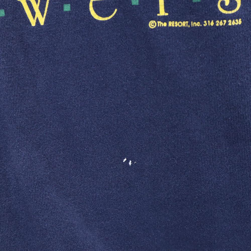 FRUIT OF THE LOOM 90s Made in USA Print Short sleeve KANSAS Sunflower T-shirt Men's Used
