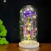 Valentines Day Gift Led Light Foil Galaxy Infinity Rose Glass Dome 24k Gold Rose Butterfly Factory Price Long Lasting 3-5 Years