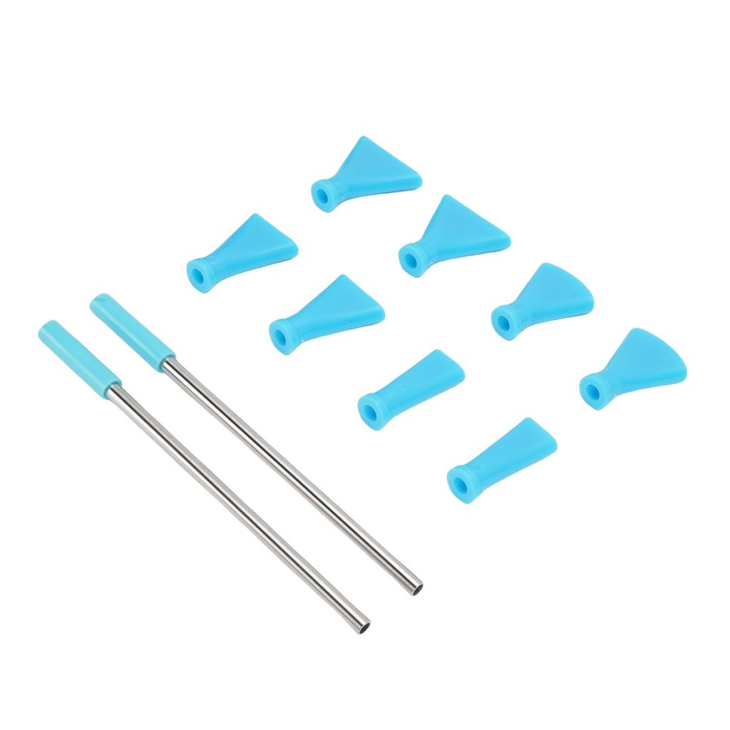 2Pcs Stainless Steel Straw 8Pcs Blow Nozzles Set Multifunctional Acrylic Pouring Paint Supplies