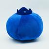 TreasuringU Cartoon Blueberry Plush Toys Kawaii Blue Fruits Stuffed Doll 22cm Cute Blueberry Soft Pillow Plushie Birthday Gifts