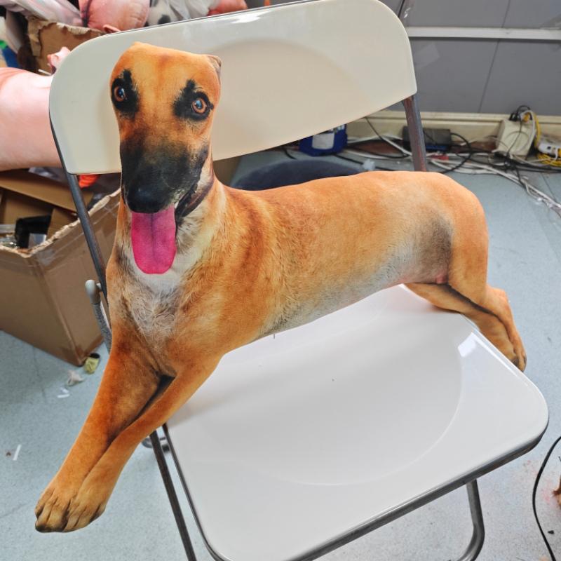 4 Größen Lebensechte Windhund Hund Plüschkissen Druck Windhund Stofftier Wurf Kissen Lustiges Meme Dekor Mini Hund Schlüsselanhänger Geschenke. 15cm
