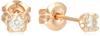 Diamond 10K Pink Gold Earrings 111146153111 4℃ 0.05ct (PG)