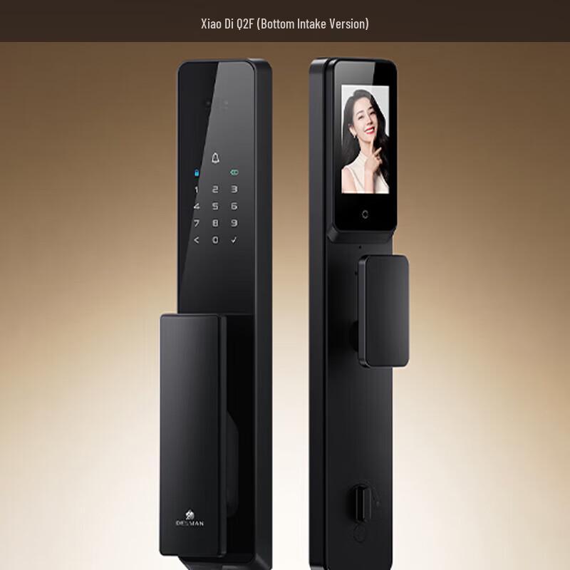 DESMAN Q2F Facial Recognition Smart Door Lock