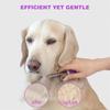 Long & Short Teeth Detangling Pet Comb Stainless Steel Small Pet Hair Brush  Cat Undercoat