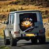 1pc Car Tire Cover, Cosmic Golden For Lotus Lifting Planet Printed Theme Car Tire Cover, Fiber Dustproof And Sunscreen Universal
