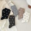 Spring and Autumn Trendy Mid-calf Socks for Girls, Pile Socks, Casual and Versatile Long Socks for Girls