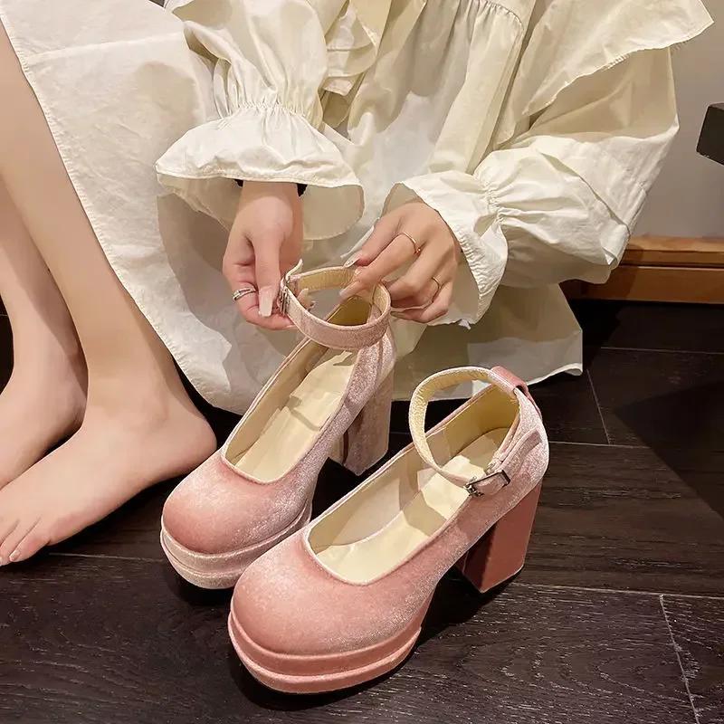 Fashion Platform Mary Janes Shoes Women Suede Luxury High Heel Lace Up Trend Lolita Shoes Elegant Chunky Party Pumps Zapatos De Mujer