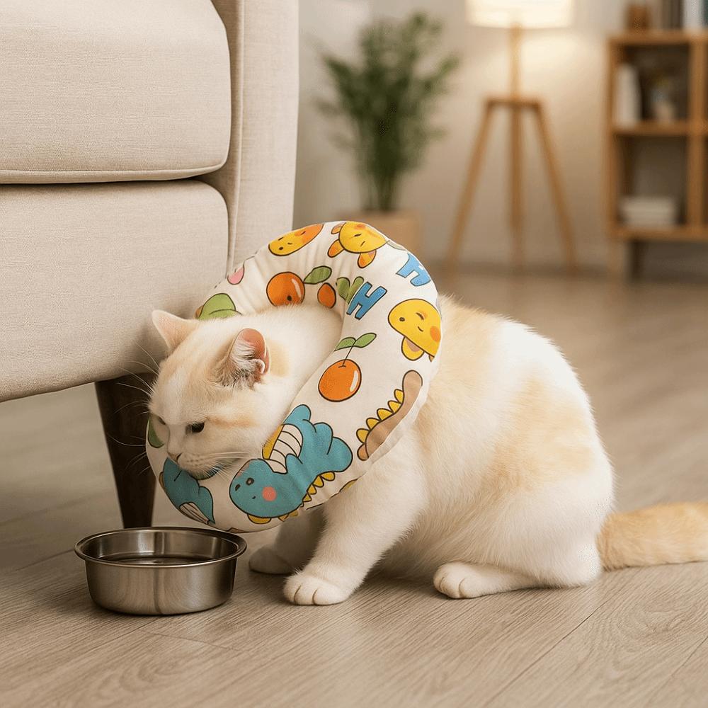 Anti-Biss Katze Elizabeth Kragen Verstellbarer Katzenhalskragen Niedlicher Katzen Genesungskragen Wundversorgung