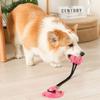 Bite Resistant Suction Cup Dog Toy TPR Dog Tug Toy Dog Leakage Toys  For Dogs Puppy