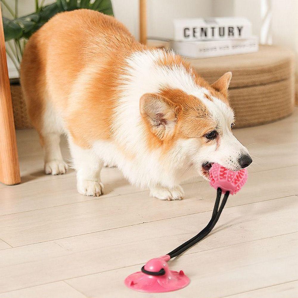 Bite Resistant Suction Cup Dog Toy TPR Dog Tug Toy Dog Leakage Toys  For Dogs Puppy