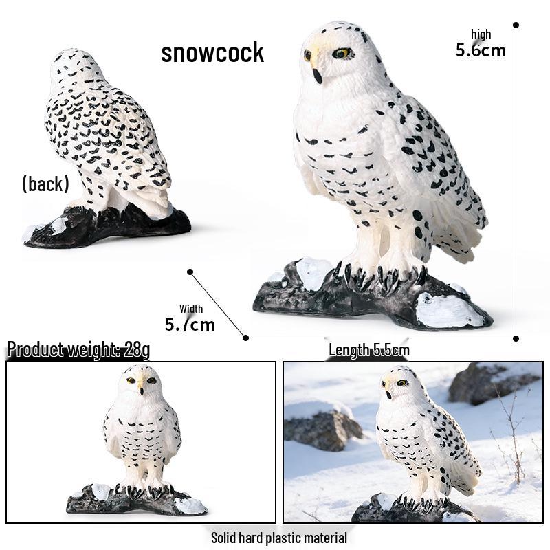 Kids' Bird Model Set: Toucan, Parrot, Ostrich, Peacock, Eagle, Pigeon, Owl.