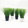 Artificial Allium Ascalonicum Potted Plant With White Or Black Pot For Event And Home Decoration
