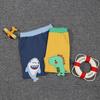 Summer Children's Cartoon Dinosaur Knit Casual Shorts for Boys