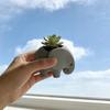 Succulent Planter 3D Printed Elephant Flowerpot Plastic Small Cactus Plant Holder  Home Office