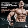 Carbamide Forte Plant Protein Powder 500g - Belgian Chocolate Vegan Protein with Multivitamins & Digestive Support
